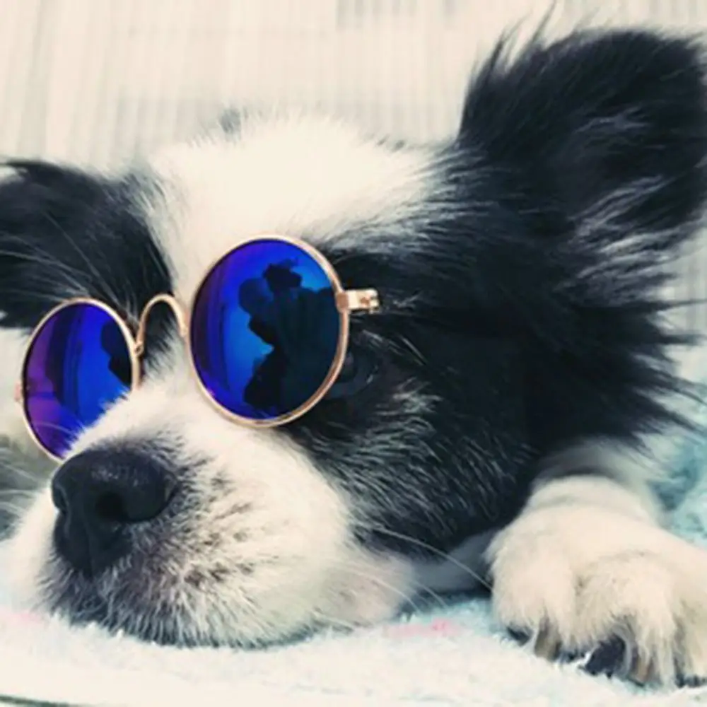 S J новые классные Pet очки разных цветов для товары домашних животных собак Щенок