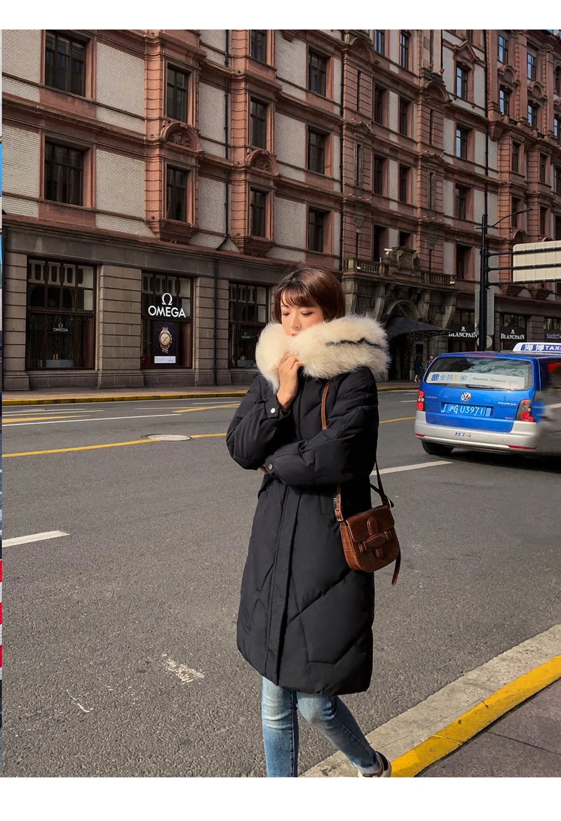 11569936491_822615558