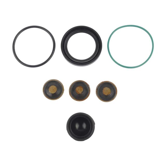 Holden V8 Fuel Pump Repair Kit edu.svet.gob.gt