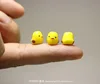 Action 