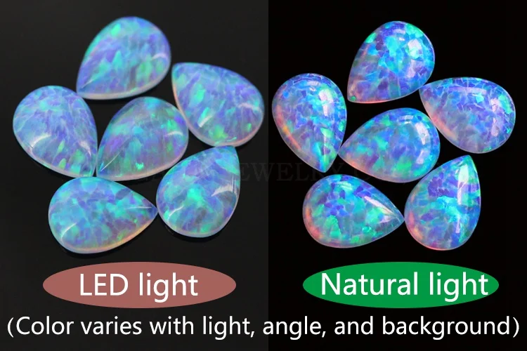 梨形_FI13_07_IMG_6796_IMG_7034