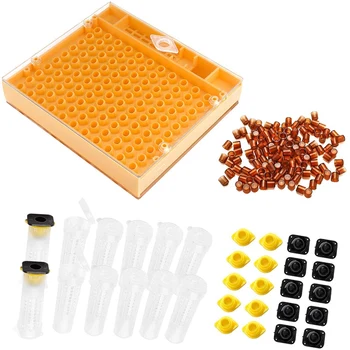 

Beekeeping Queen Breeding Cup Kit Beekeeping Tool Plastic Beekeeping Box 100 Cell Cup 10 Prisoner King Beekeeper Equipment Suppl