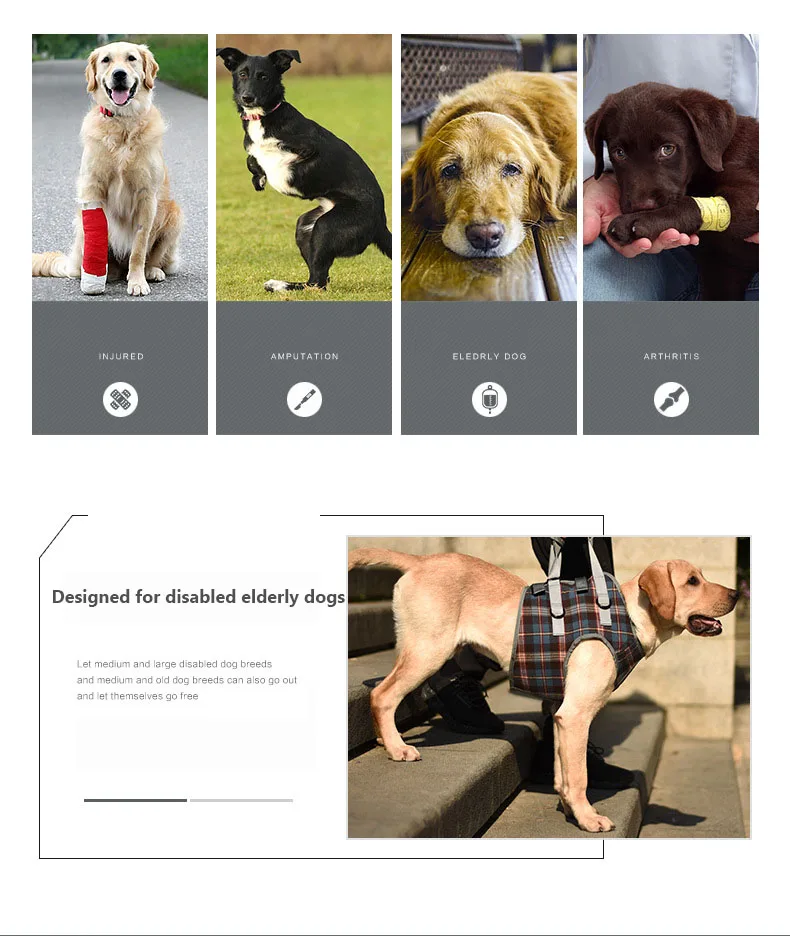 H6ddedd8bb40a443eb8646235f8d6c49fP