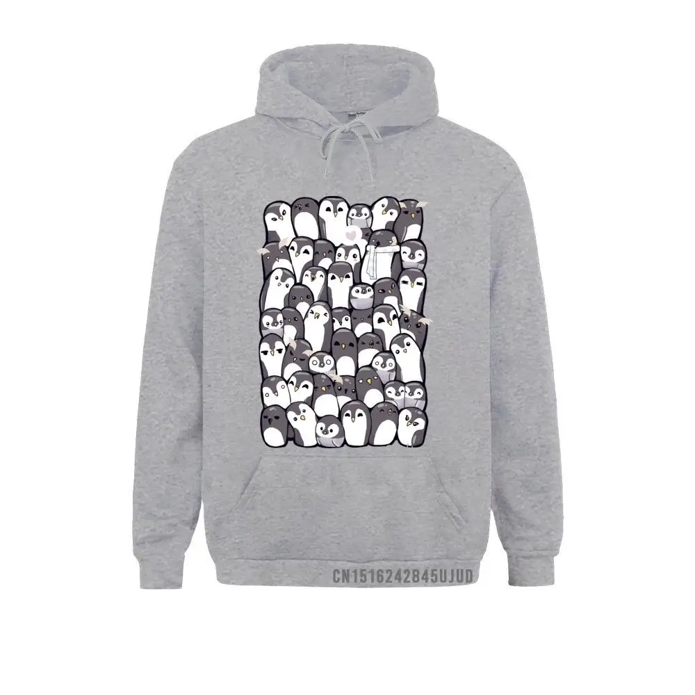 Hoodies 04325 Summer/Autumn Funny Normal Long Sleeve  Young Sweatshirts Normal Sportswears Free Shipping 04325 grey