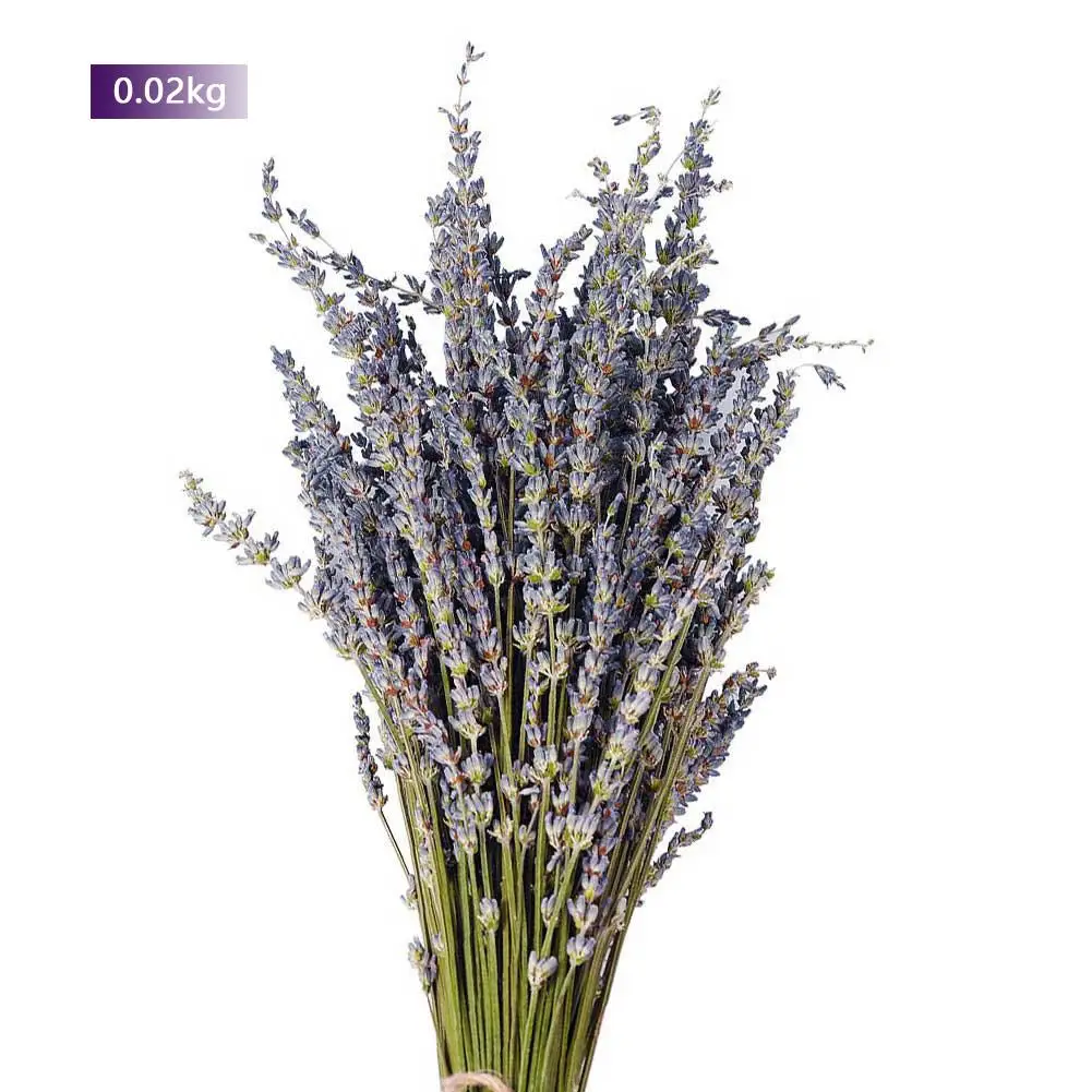 

Natural Lavender Sticks Beautiful Natural Lavender Bouquet Dried Flowers Immortal Flower Decorative Garden Living Room Decor New