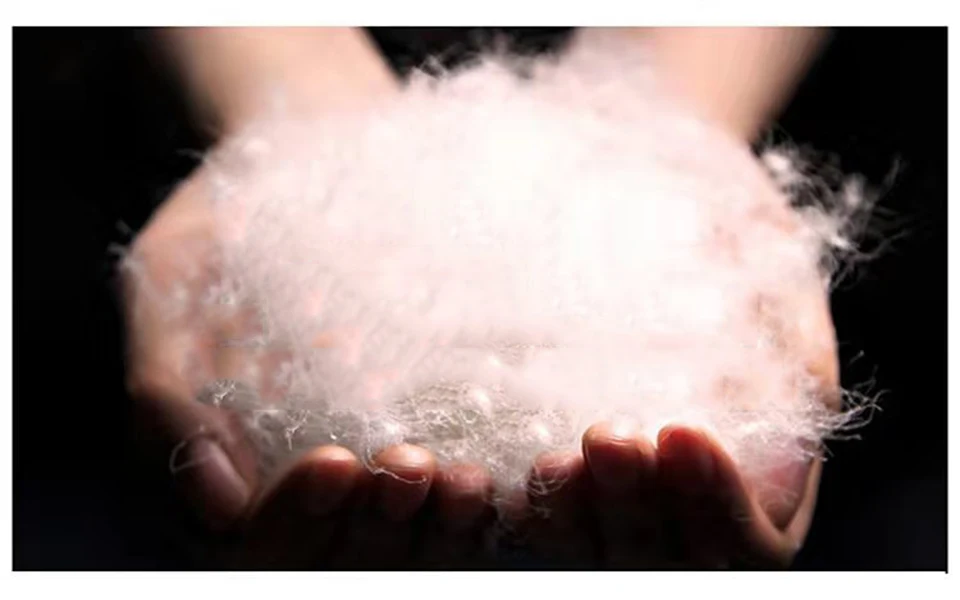 微信图片_20190802094236