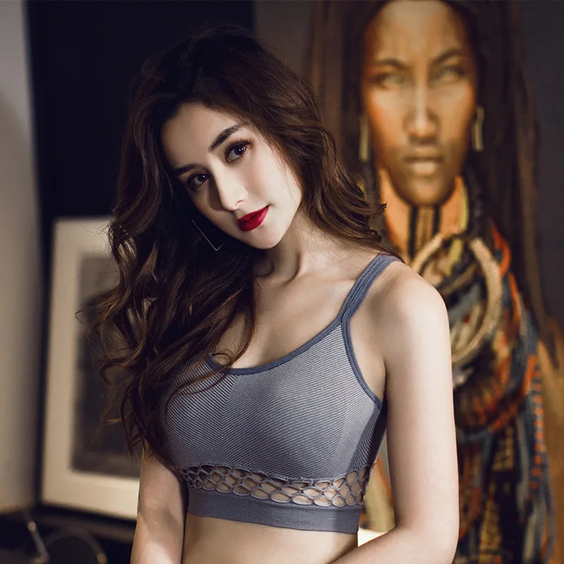 8542498984_1816636544