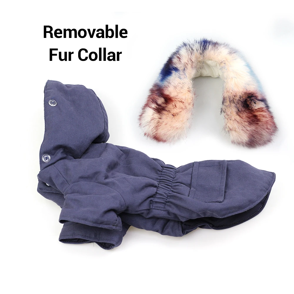 fur collar dog clothes (18)