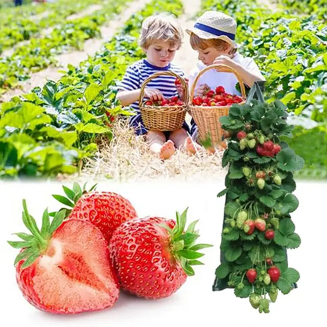 Pe Ültetési Táska Lógó Lélegző Szövet Növényi Edényekkel Strawberry Magok, Amelyek Függő Zöldségeket Termesztenek, Táskák Ültetése - Image 2