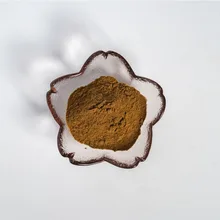 10:1% High-quality Gastrodia Extract Powder, Enhances Brain Function, Relieves Headaches and Improves Memory