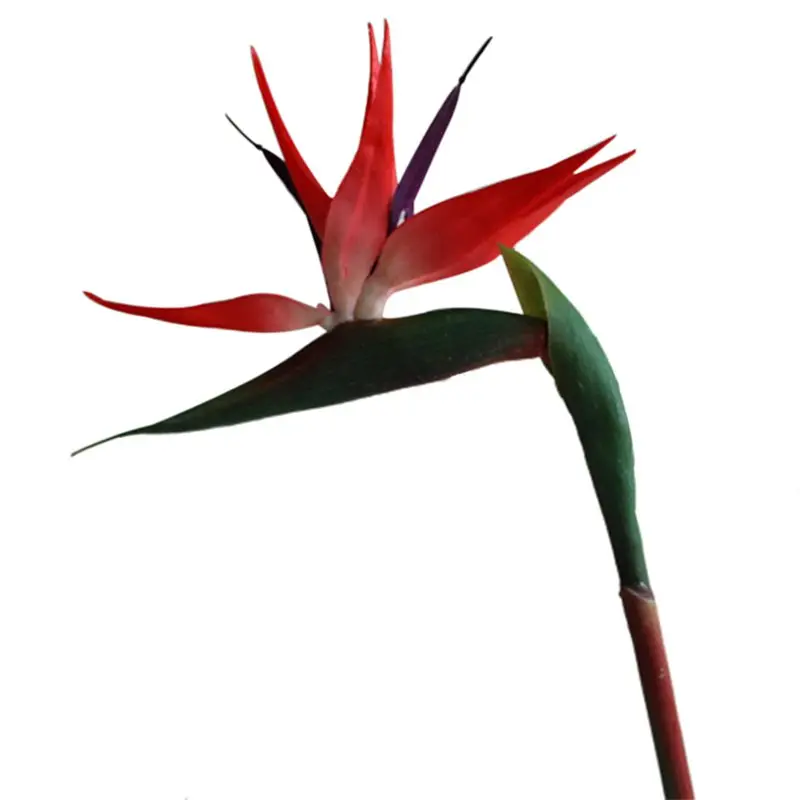 

Artificial Plastic Bird Of Paradise Bridal Party Wedding Garden Home Decor, Red&Green