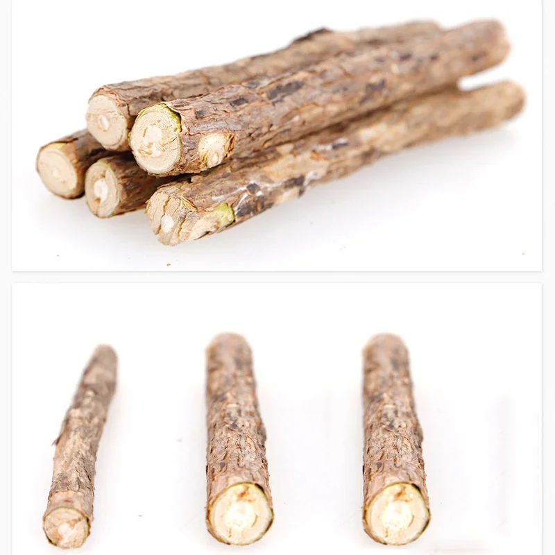 2/5PCS Natural Catnip Pet Cat Molar Toothpaste Stick Actinidia Fruit Cat Toys Snacks Sticks Pet Cleaning Teeth Cats Supplies