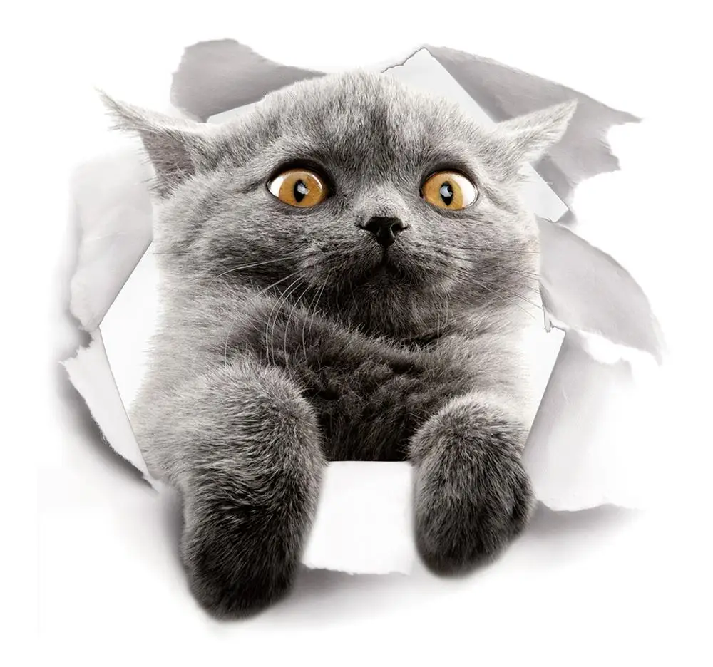 

Hot 3D Cute Kitten Closestool Sticker Kids Bedroom Wall Deocration Cat Cartoon Fridge Sticker toilet WC sticker for Children