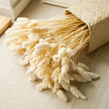

50pcs Gem Grass Rabbit tail grass Dry Flower Bouquet Home Decoration Eternal Flower Photography Props Decor Natural dried flower
