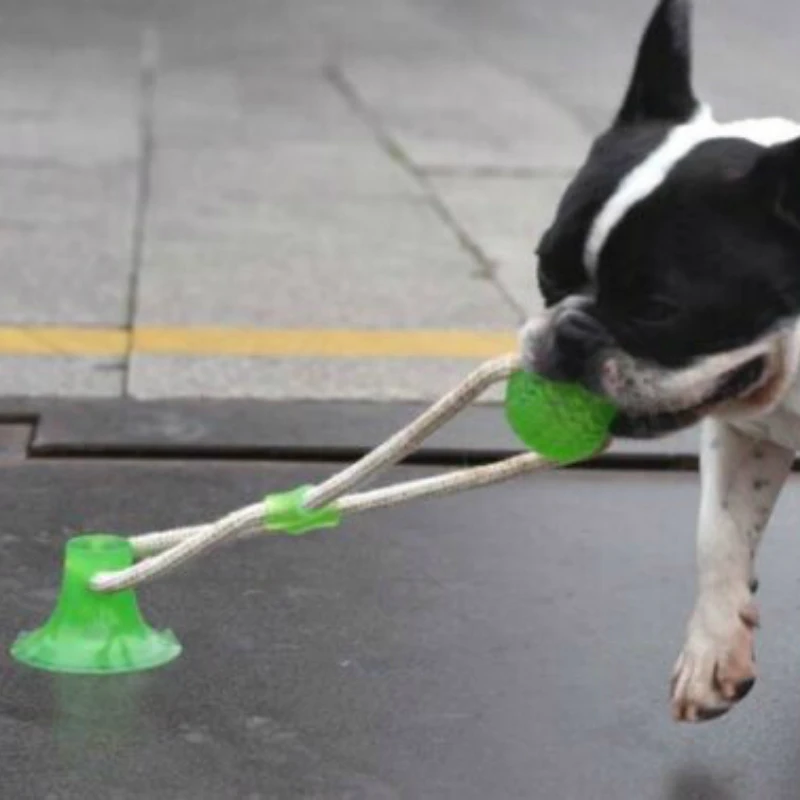 

Interactive fun Pet toy with suction cup dog push toy with TPR ball Pet Tooth Cleaning/Chewing/Playing,IQ Treat Ball