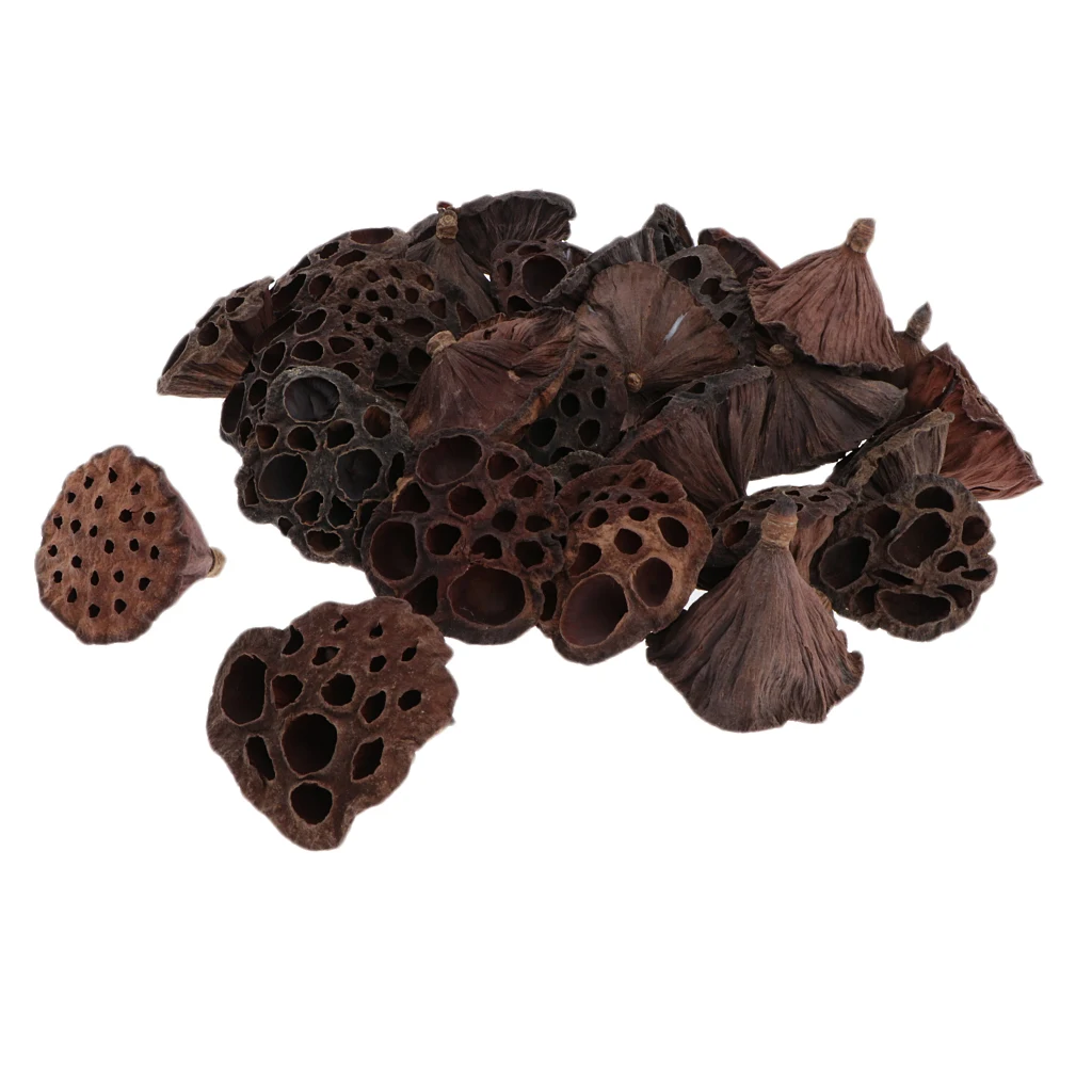 30x Natural Dried Lotus Pod Flowers /Fruit For Xmas Floral Decor Crafts DIY