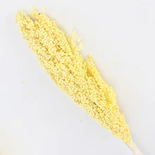 2 шт./компл. Природный сухих цветов Комплект сохраненный цветок цветочным принтом в стиле «сделай сам Платья с цветочным принтом для свадьбы, украшение для дома