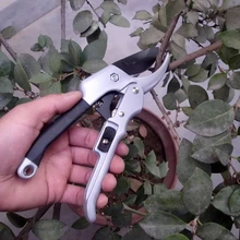 20cm Ratchet Plant trim horticulture Hand pruner cut secateur Shrub Garden Scissor tool anvil Branch Shear Orchard pruning