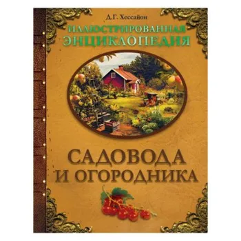 

Office & School Supplies Books Education & Teaching Textbooks AST 391834