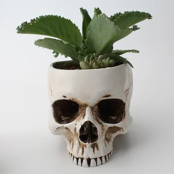 

Resin Skull Model Flower Pot Fruit Plate Storage Container Garden Flower Pot Planter Skull Pot Home Decor Crafts