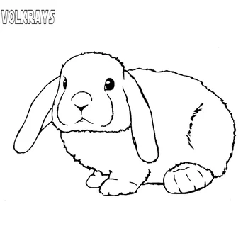 

Volkrays Personality Car Sticker Rabbit Lop Eared Animal Accessories Reflective Waterproof Vinyl Decal Black/Silver,11cm*18cm