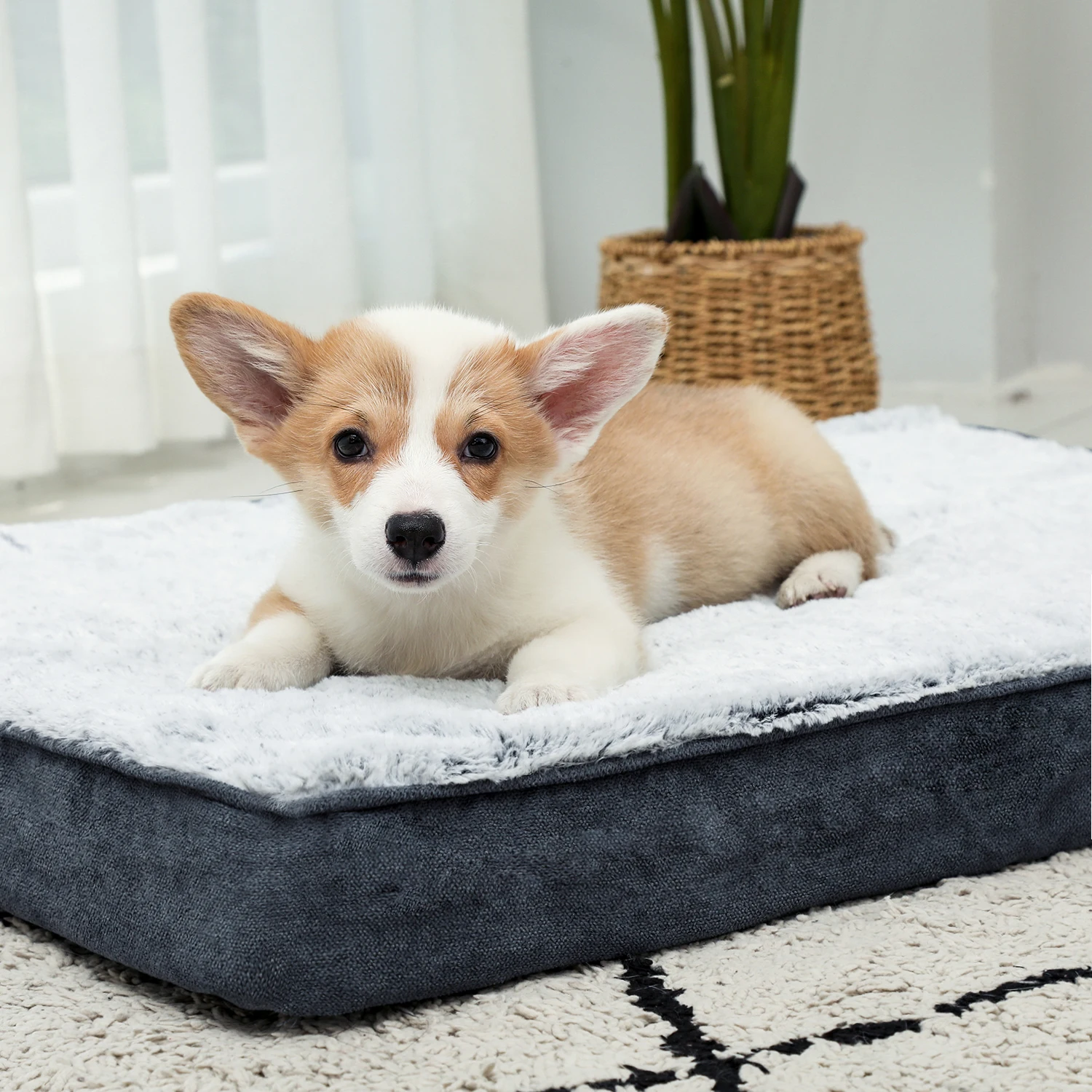 Laifug Orthopedic Memory Foam Extra Large Dog Bed Serta Dog Bed