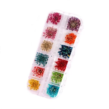 

1Real Dry Dried Flowers Nail Art Decoration For UV Gel Nails Sticker