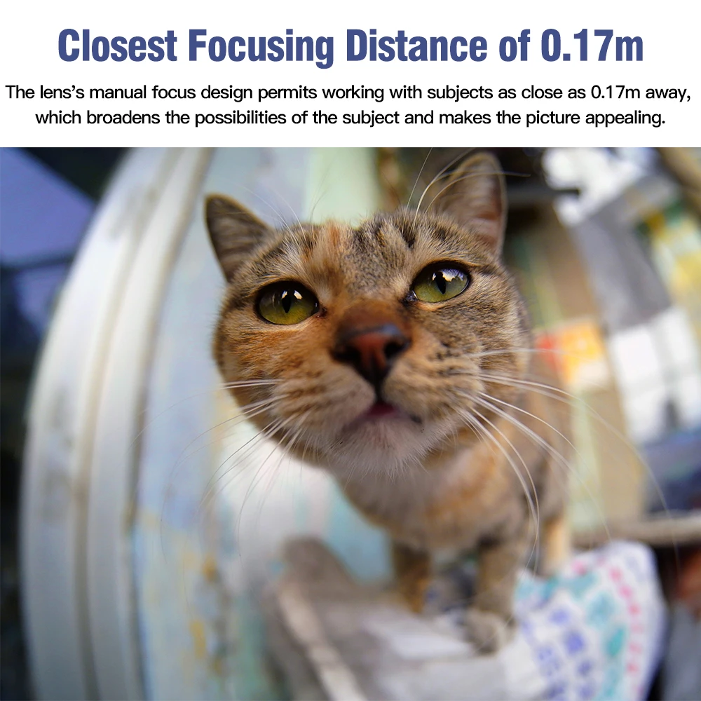 IN Stock TTArtisan 11mm F2.8 Fisheye Lens Full Fame Manual Focus Prime Lens for Fuji Fujifilm GFX100S GFX50S GFX50R GFX Cameras