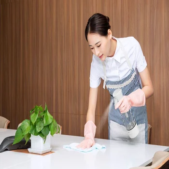 

Clean Multipurpose Clean & Disinfecting Electrolyzed Water Maker, Disinfectant Generator
