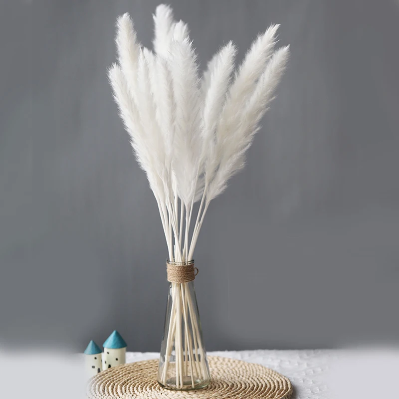 30pcs Small Pampas Grass Bulrush Natural Dried Phragmites Christmas Home Decor Diy Dried Real Flowers Bouquet Flower Arrangement