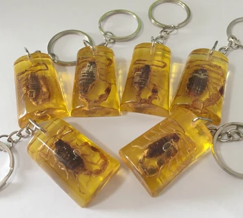 

15 pcs Insect Specimen Artificial Amber Scorpion Jewelry Taxidermy Gift Accessories