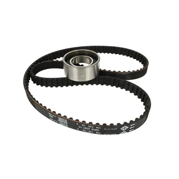 

INA Z530020510 INA 530020510 1987946570 KTB292 5580174 VKMA02210 distribution KIT timing belts