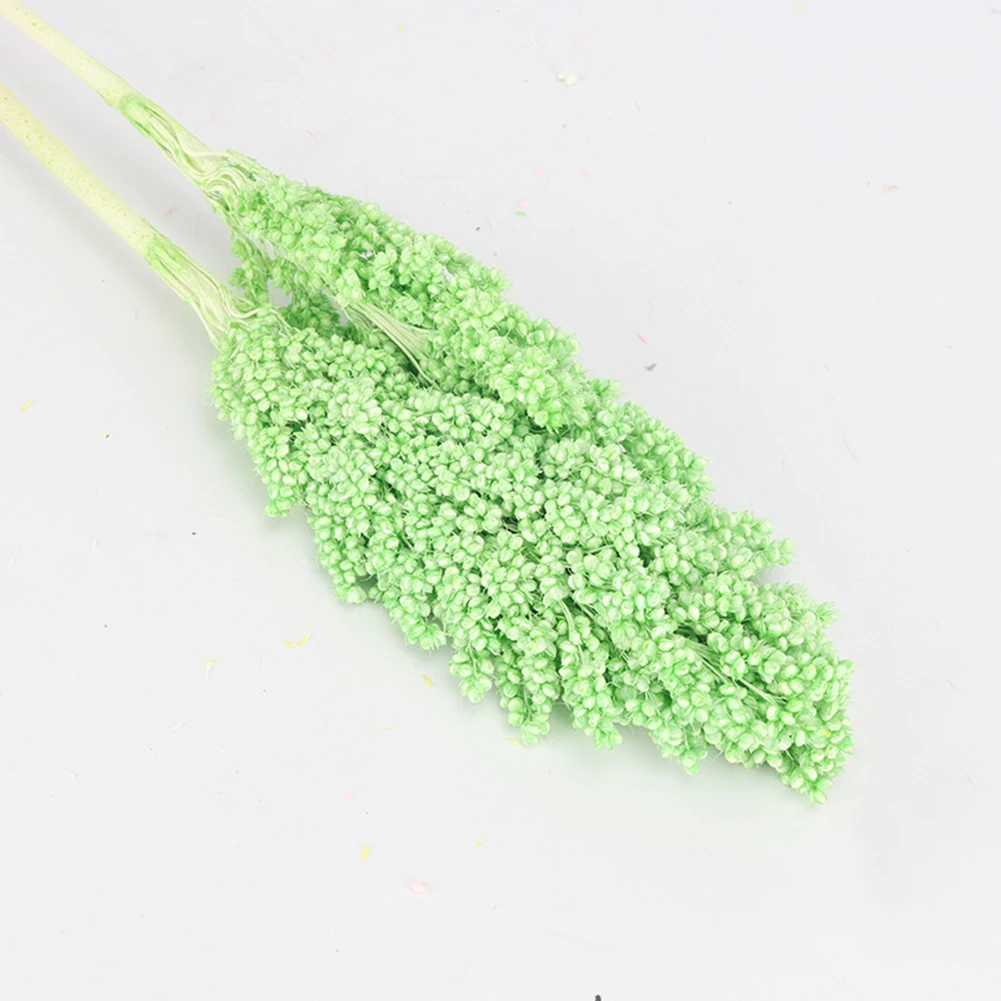 Green 2 шт./компл. Природный сухих цветов по-настоящему сенсорный сорго Комплект сохраненный цветок цветочным принтом в стиле «сделай сам Платья с цветочным принтом для свадьбы, украшение для дома - Цвет: Green