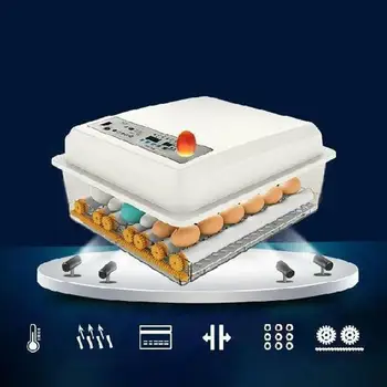 

2020 Full-automatic Small Household 16 Eggs Incubator for Peacock Duck Goose Egg Quail Chicken 220V Incubator For Drop Shipper