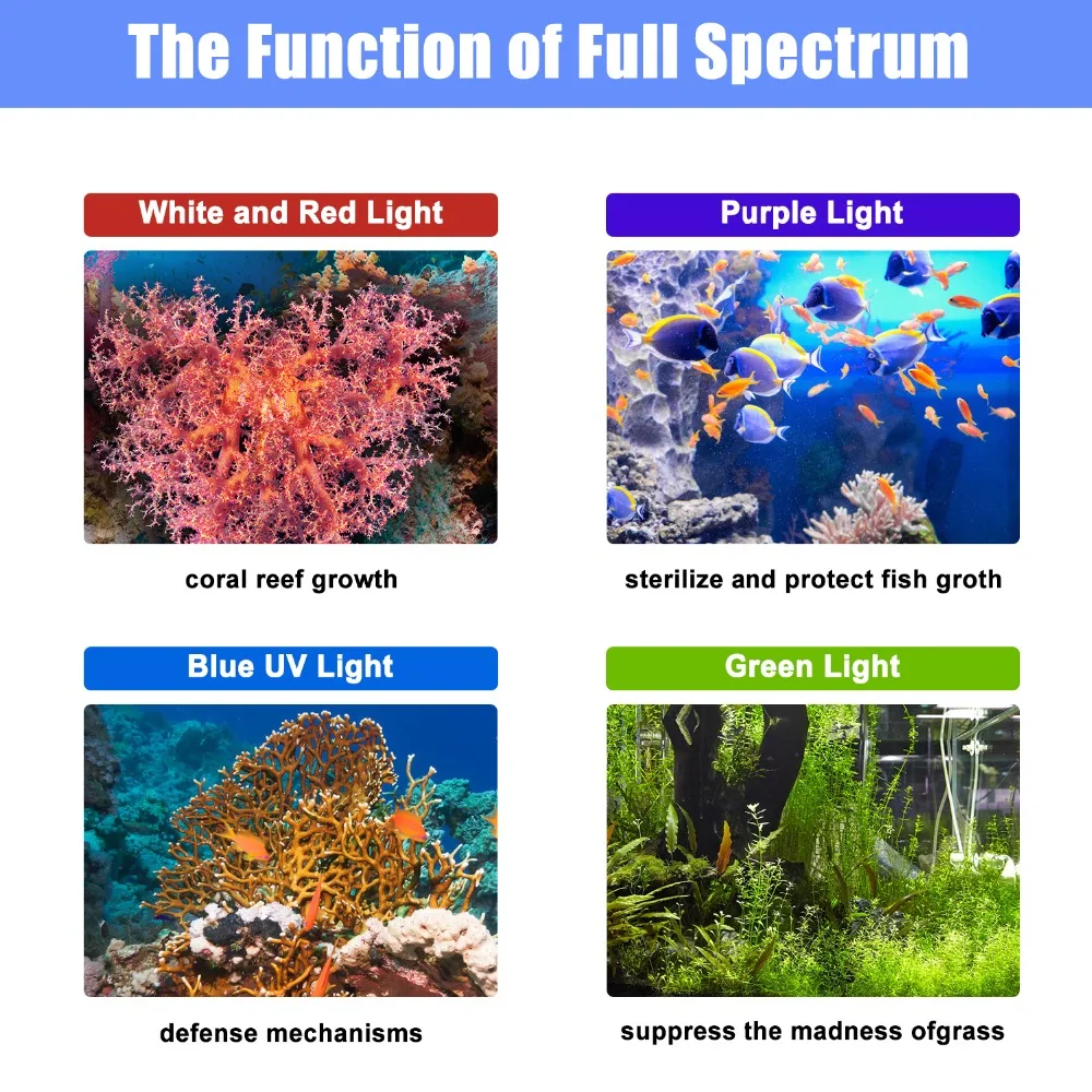 The Function of Full Spectrum