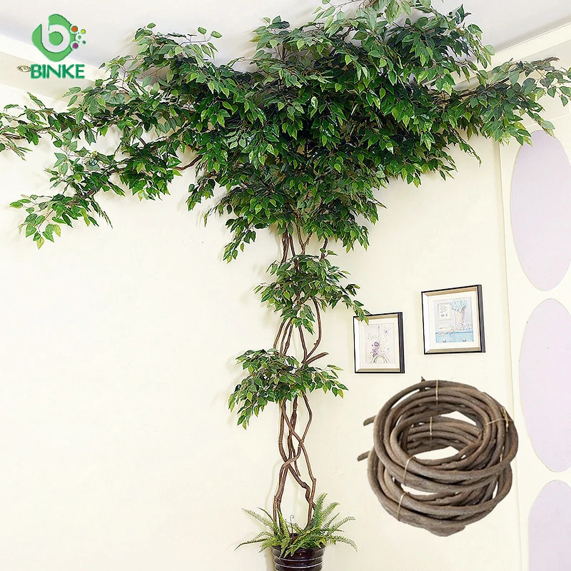 Искусственные растения дерево из настоящего ротанга листья Подвесные на стену