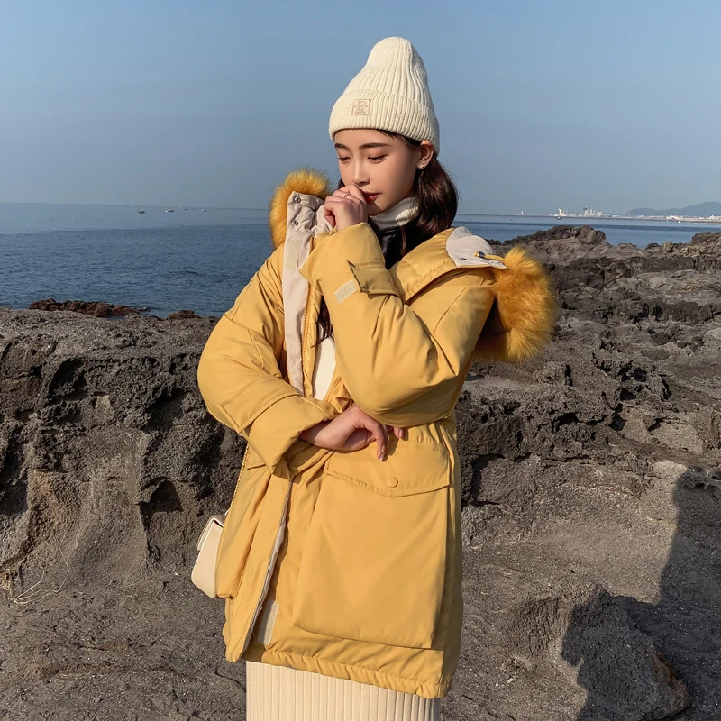 Korean Style 2019 Winter Jacket Women Warm Thicken Loose Female Coat W_B4_15