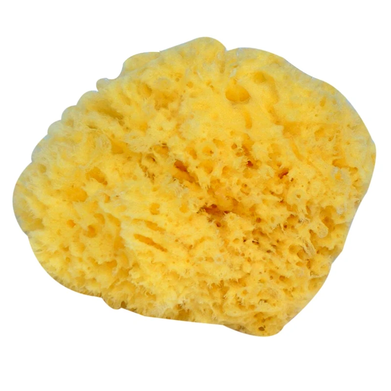 

EASY-Natural Yellow Sea Grass Sponge. Perfect for Bath, Shower and Body Care. Softly Rough But Not Skin Irritating.
