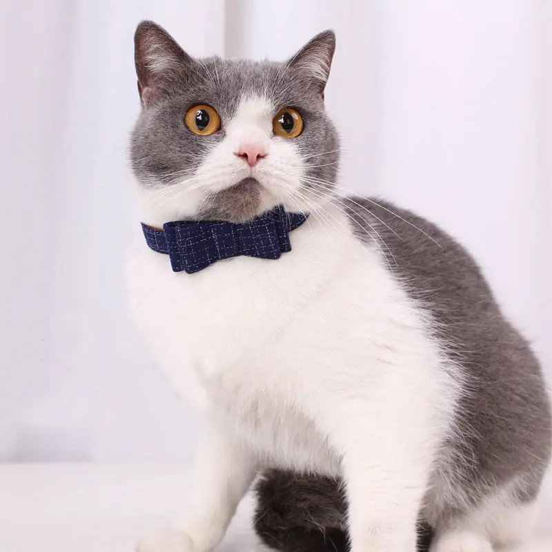 Title 13, Dog Collar Leash Pet Cat Accessories Leather Co...