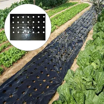 

Practical Plastic Perforated PE Film Agricultural Vegetable Mulching Membrane Home Garden Plants Grow Film Vegetable Seedling