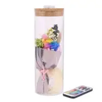 

SOLEDI Glass Luminous Rose Glass Cover Decoration Wedding Ornamental Eternal Preserved Fresh Flower Birthday Lighting 5 Color