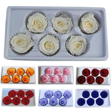 Beauty And The Beast Forever Rose,Immortal Flower Material 5-6CM Grade A Eternal Roses Heads Real Natural Fresh Preserved Rose