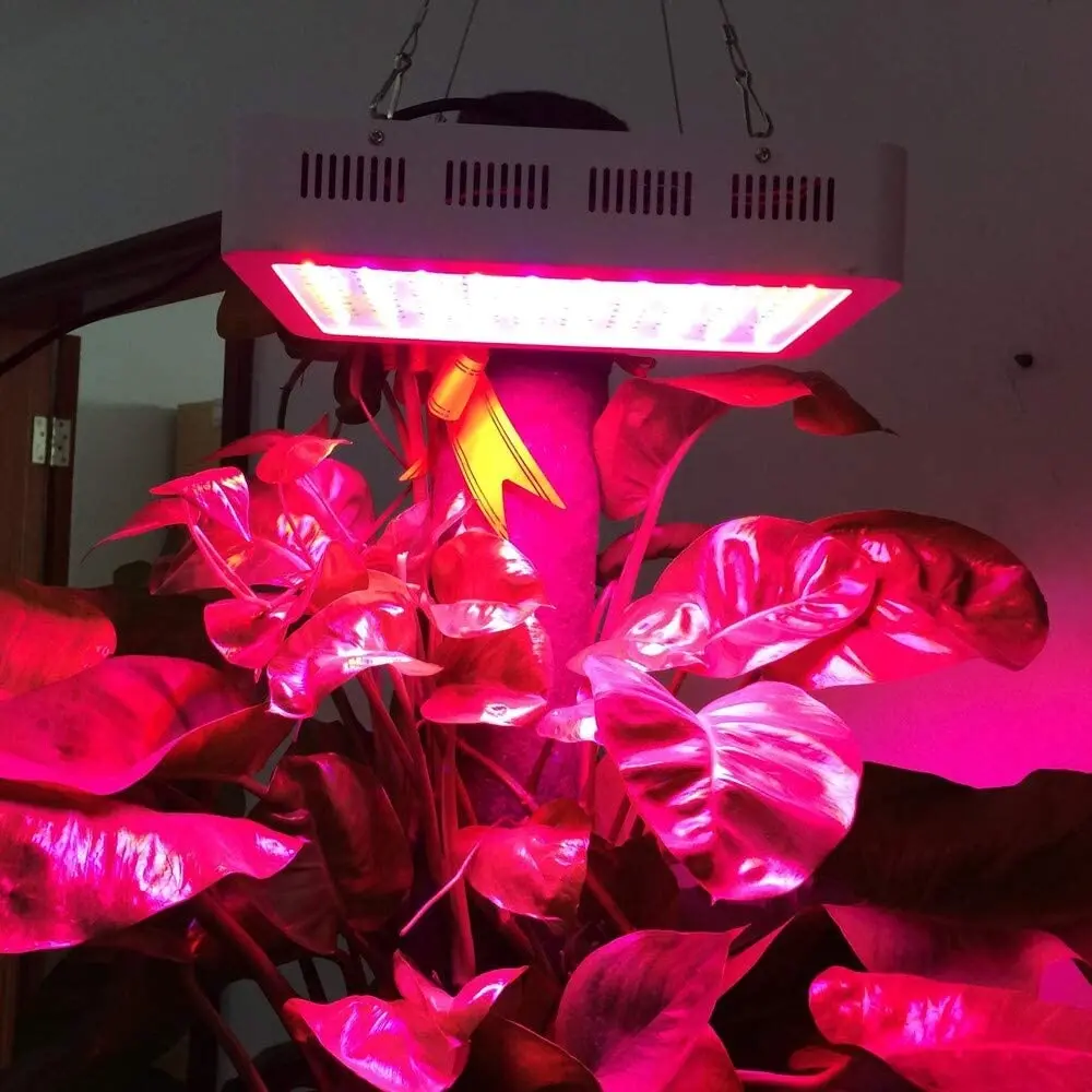 1200W Full Spectrum LED Plant Grow Light Lamps ColoFocus Lights For Flower Plant Veg Hydroponics System Grow/Bloom Tent