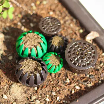 

10pcs Automatic Fertilizer Baskets Agriculture Gardening Supplies Fertilizer Nursery Pots Lid Useful Bonsai Planting Tool