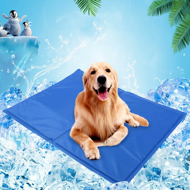 ice pad for dogs