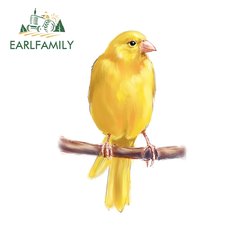 5000 Koleksi Gambar Burung Kenari Kartun HD