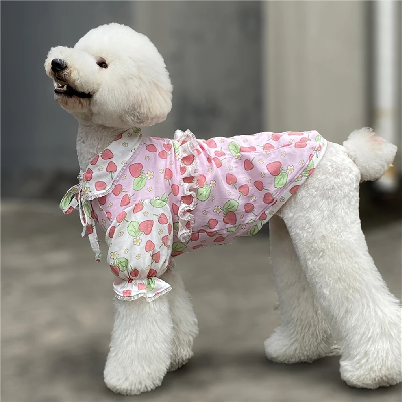 Ropa de diseño de fresa para mascotas, productos de verano gigantes, caniche|Camisetas de perro| - AliExpress