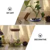 1Pc Candy Jar Succulents Cacti Moss Vase Glass Flower Planter Home Decoration 6