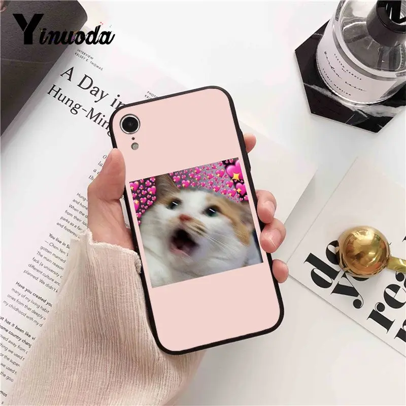 funny cat dog mood