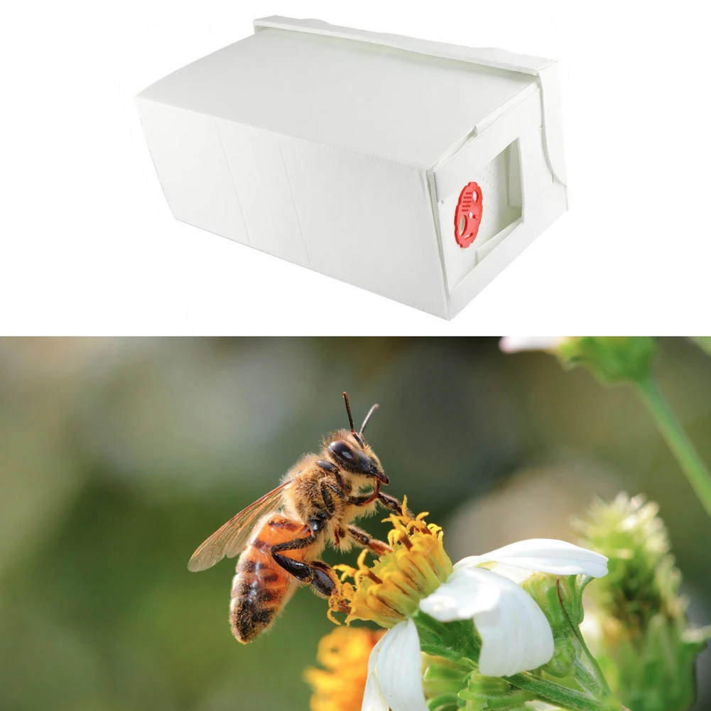 

Foldable Cardboard Nuc Box Bee Hive Bee Nuc Beekeeping Beekeeper Equipment Foldable Bee Box for Farm Garden Beeworking Using